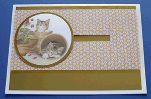 Rolling card with a pussy cat